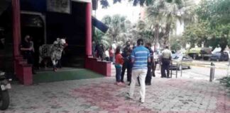 Lanzan granada a comercio en Maracaibo - NA