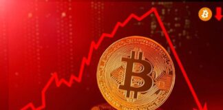 Última caída del precio del Bitcoin - Noticias Ahora