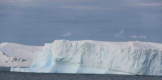 Sismos en la antártica - Noticias Ahora