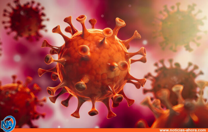 Infección por SARS-CoV-2 dura 6 meses - NA