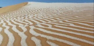 Nevada en el desierto de Sahara - Noticias Ahora
