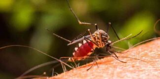 Casos de Malaria en Venezuela - NA