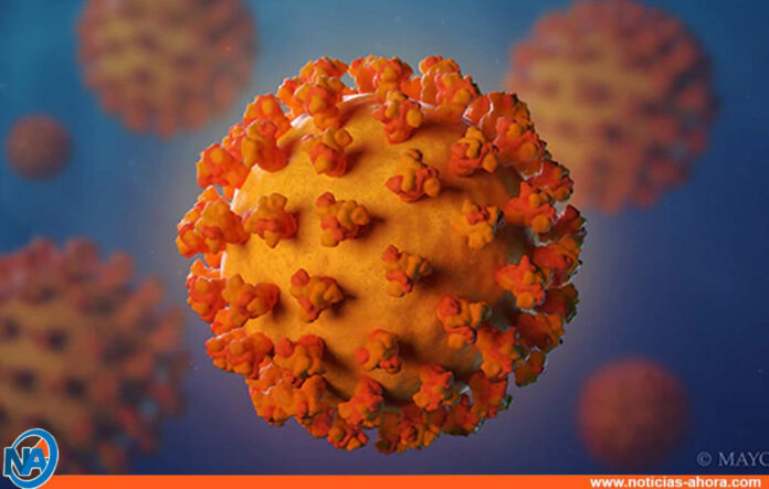Coronavirus - Noticias Ahora