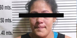 Detenida mujer en Barinas - Noticias Ahora