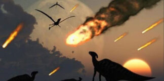 Extinción de los dinosaurios - Noticias Ahora