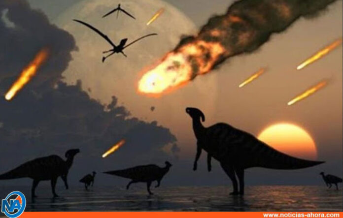 Extinción de los dinosaurios - Noticias Ahora