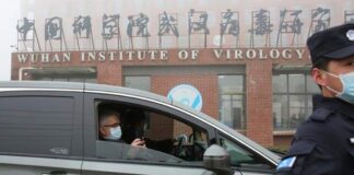 Misión de la OMS en Wuhan - Noticias Ahora