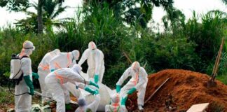 Nuevo brote de Ébola en el Congo - Noticias Ahora