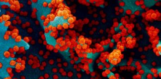Tecnología de vacunas de ARNm de COVID - Noticias Ahora