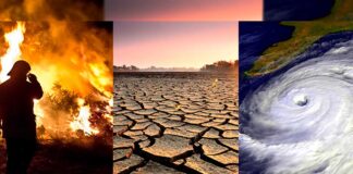 cambio climático - Noticias Ahora