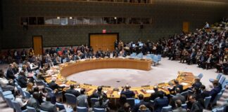El Consejo de Seguridad de la ONU - Noticias Ahora
