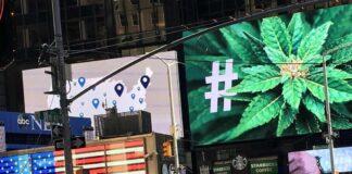 Nueva York legaliza la marihuana - Noticias Ahora