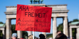 Protestas en Alemania por restricciones sanitarias - Noticias Ahora