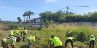 limpieza profunda en Puerto Cabello - Noticias Ahora