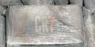 Incautado cargamento de cocaína en Nueva York - Noticias Ahora