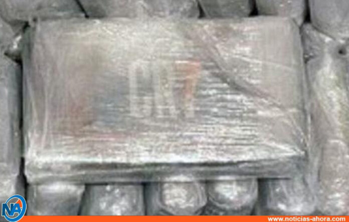 Incautado cargamento de cocaína en Nueva York - Noticias Ahora