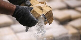 media tonelada de cocaína en Costa Rica