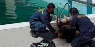 Joven se ahogo en piscina de la UCV