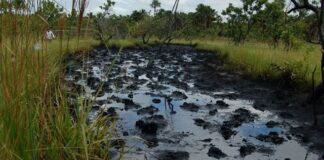 Nuevo derrame de petróleo en Anzoátegui 