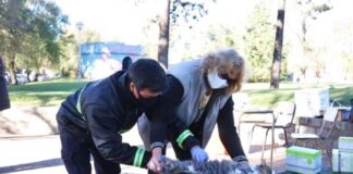 Mujer murió por rabia