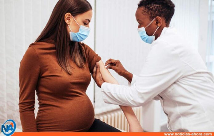 Vacunación para embarazadas en México - Noticias Ahora