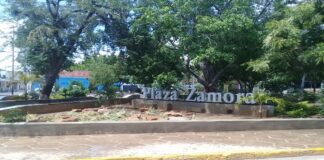 robaron luminarias de la Plaza Zamora