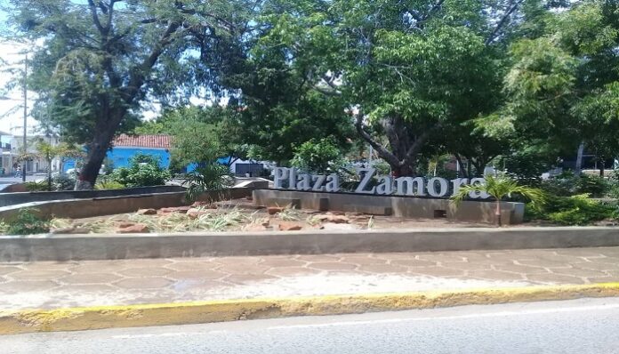 robaron luminarias de la Plaza Zamora