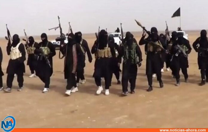 13 terroristas del Estado Islámico - Noticias Ahora