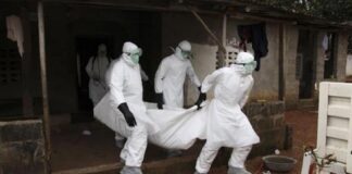 Brote de Ébola en Guinea - Noticias Ahora