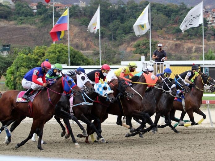 Carreras de caballo en Valencia y Caracas