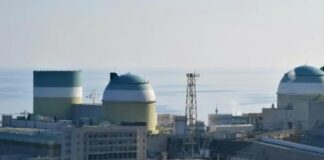 Reactor nuclear nipón - Noticias Ahora
