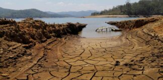 Sequía en Brasil - Noticias Ahora