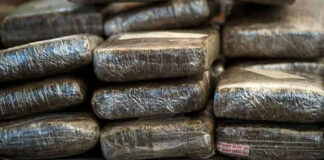 Confiscan 2,1 toneladas de marihuana en Colombia - Noticias Ahora