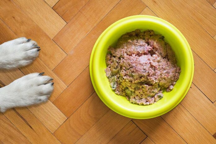 superbacterias en comida para perros 