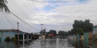Inundaciones en Apure - Noticias Ahora