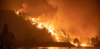 Incendios forestales en Isla de Evia