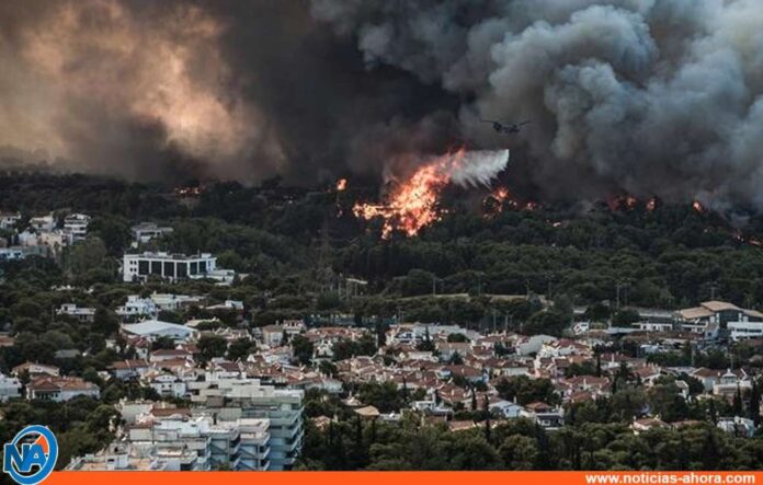 Incendios en el sur de Italia - Noticias Ahora