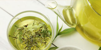 té verde ayudar prevenir el Alzheimer