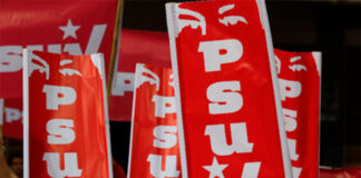 PSUV anuncia candidatos definitivos