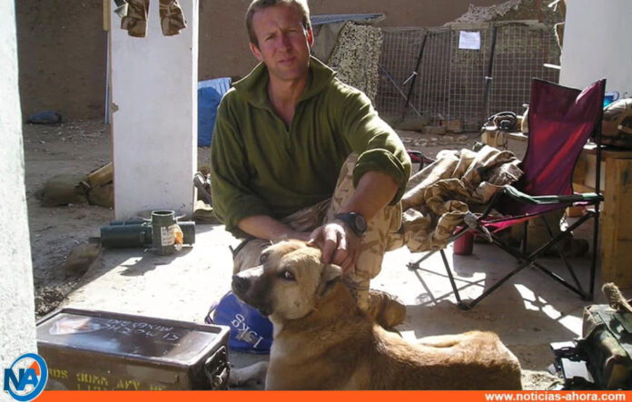 Talibanes apuñalan a un perro de compañía - Noticias Ahora