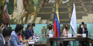 Venezuela fortalece cooperación política con el Parlasur