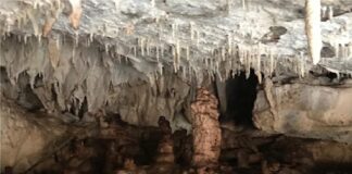 Descubren en Mérida nuevas cavernas