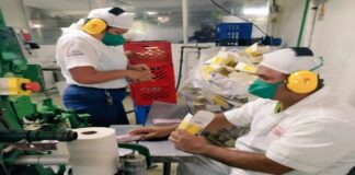 Lácteos Los Andes aumenta producción de mantequilla
