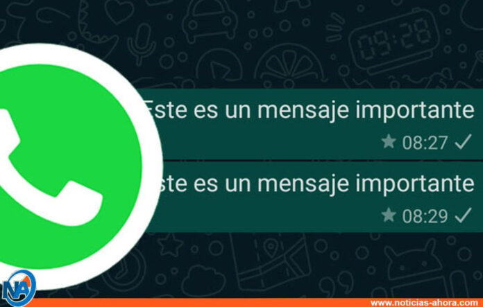 Mensajes importantes en WhatsApp - Noticias Ahora