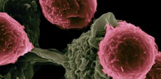 Nuevo descubrimiento contra el cáncer - Noticias Ahora