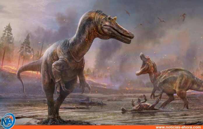 Nuevos dinosaurios depredadores - Noticias Ahora