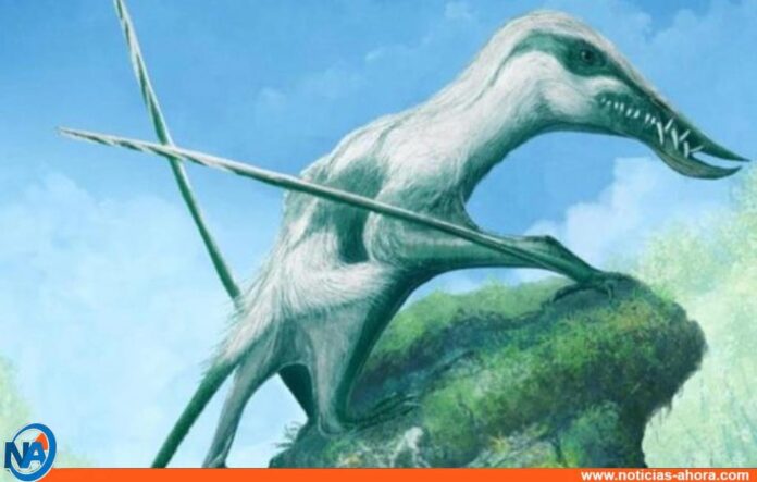 Pterosaurio del Jurásico - Noticias Ahora
