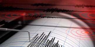 Sismo de magnitud 4.2 se registró en Lara