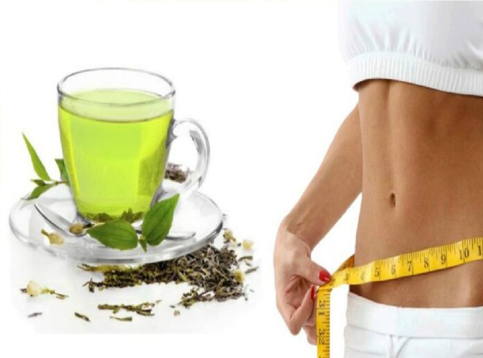 té verde para bajar de peso