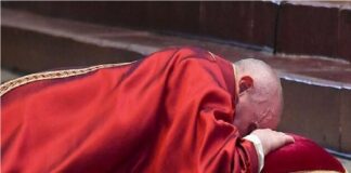 El Papa expresa «vergüenza»